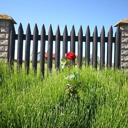 Seaside In Cisowo With Terrace And Lovely Garden Tatil Evi Darłowo