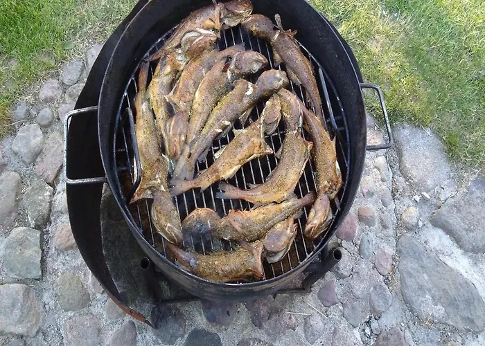 Seaside In Cisowo With Terrace And Lovely Garden