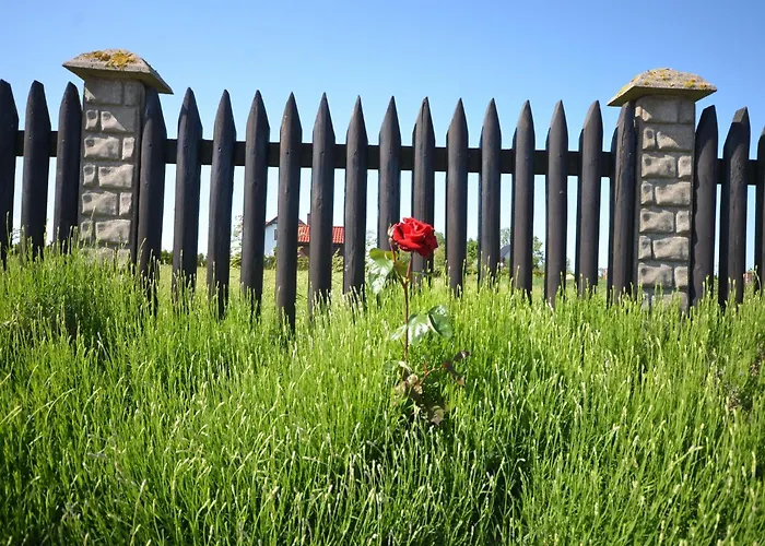 Seaside In Cisowo With Terrace And Lovely Garden Сasa de vacaciones Darłowo